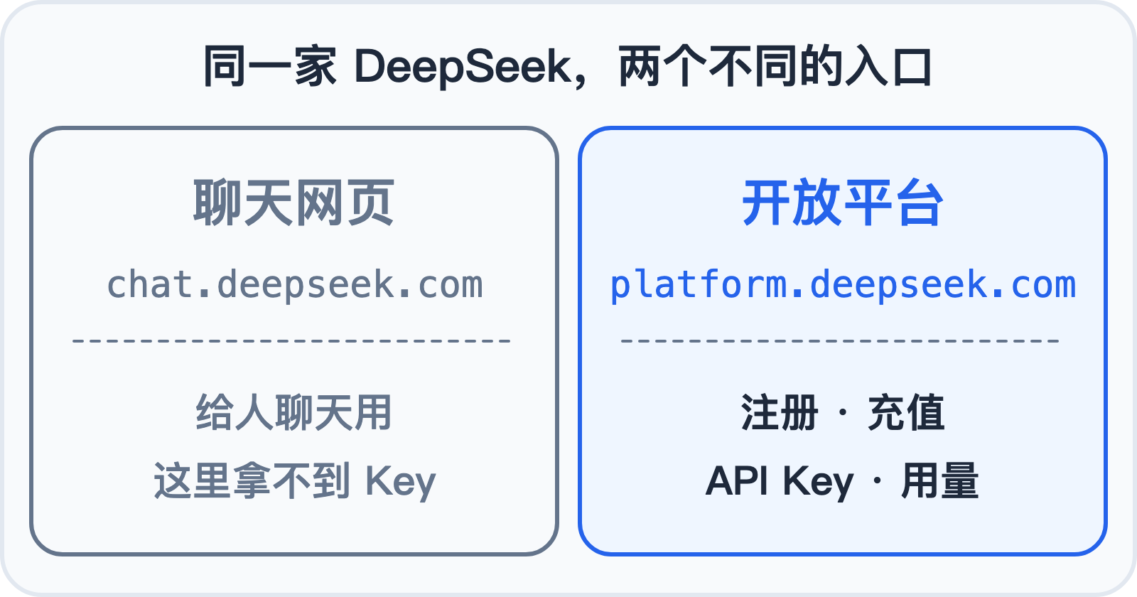 DeepSeek 的聊天网页和开放平台